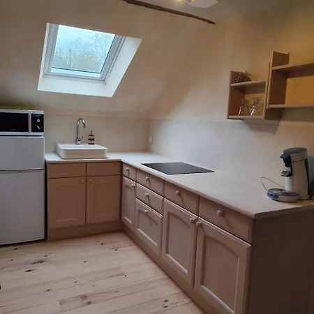 Apartment Avec Mezzanine