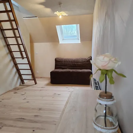 Avec Mezzanine Apartment