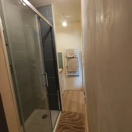 Apartment Avec Mezzanine